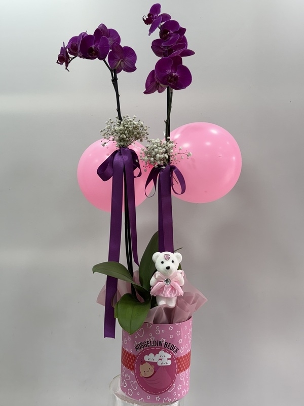 Kız Bebek Mor Orkide Tasarım