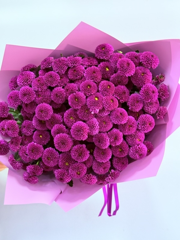 Mor Kasımpatı Santini Buketi