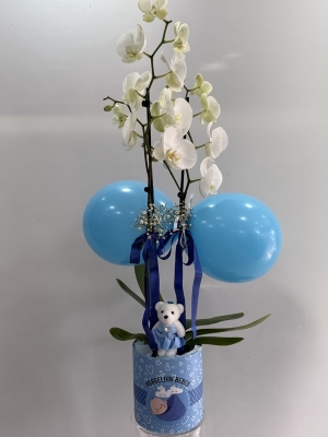 Erkek Bebek Beyaz Orkide Tasarım